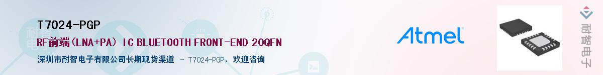 T7024-PGP������-�������