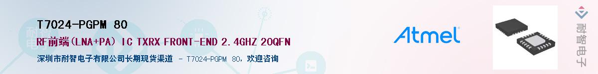 T7024-PGPM 80������-�������