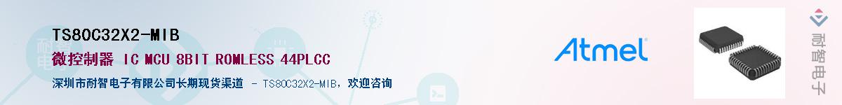 TS80C32X2-MIB������-�������