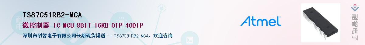 TS87C51RB2-MCA������-�������