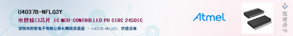 U4037B-NFLG3Y������-�������