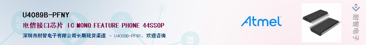 U4089B-PFNY������-�������