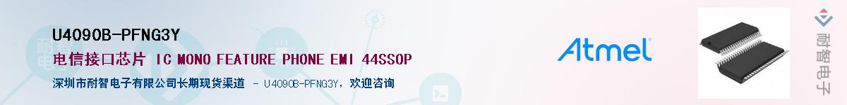 U4090B-PFNG3Y������-�������