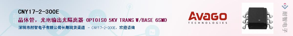 CNY17-2-300E������-�������