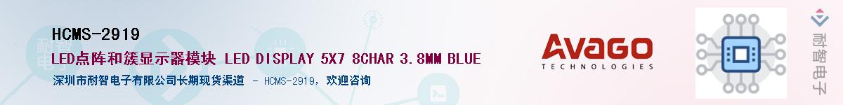 HCMS-2919������-�������