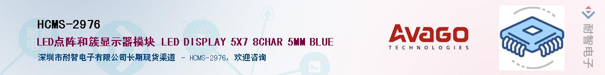 HCMS-2976������-�������