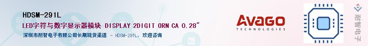 HDSM-291L������-�������