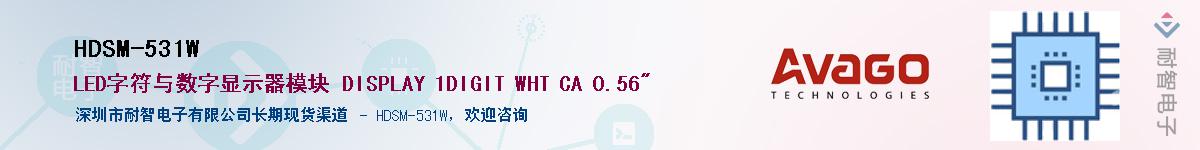 HDSM-531W������-�������