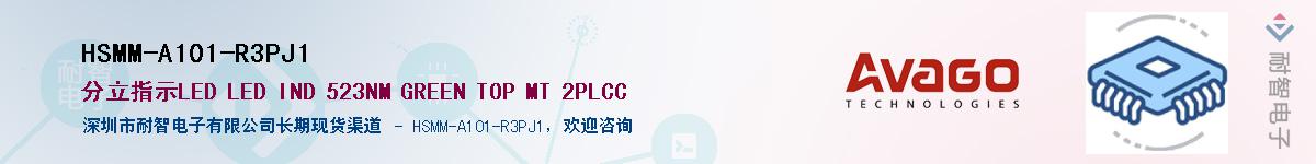 HSMM-A101-R3PJ1������-�������