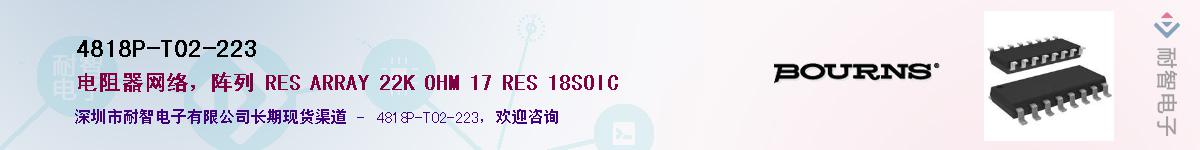 4818P-T02-223������-�������