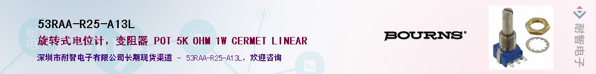 53RAA-R25-A13L������-�������