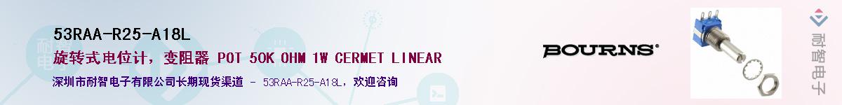 53RAA-R25-A18L������-�������