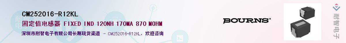 CM252016-R12KL������-�������