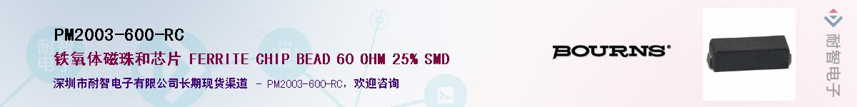 PM2003-600-RC������-�������