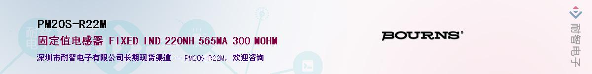 PM20S-R22M������-�������