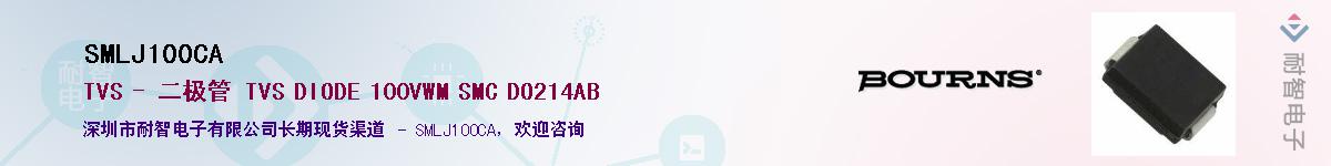 SMLJ100CA������-�������