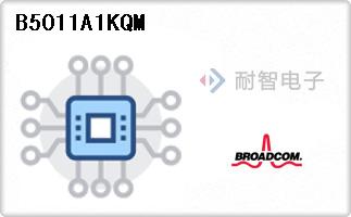B5011A1KQM