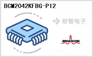 BCM2042KFBG-P12