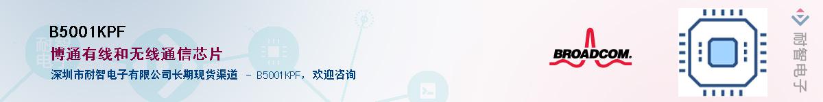 B5001KPF������-�������