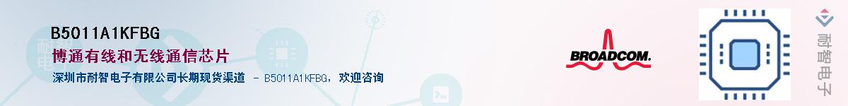 B5011A1KFBG������-�������