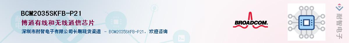 BCM2035SKFB-P21����(y��ng)��-�������