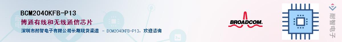 BCM2040KFB-P13������-�������