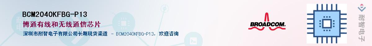 BCM2040KFBG-P13������-�������