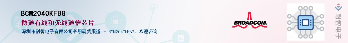 BCM2040KFBG������-�������