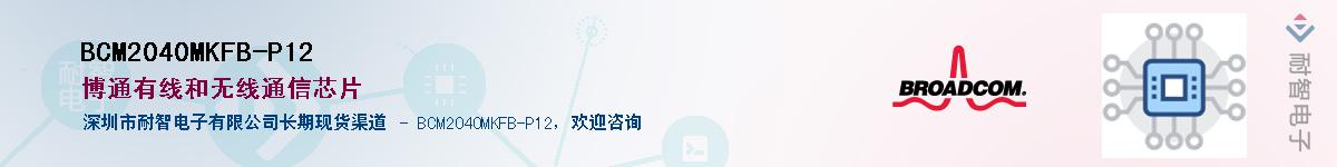 BCM2040MKFB-P12������-�������