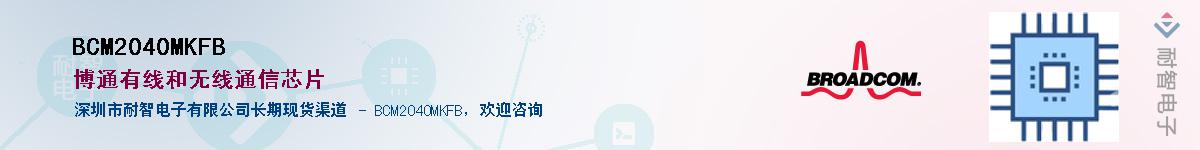 BCM2040MKFB������-�������