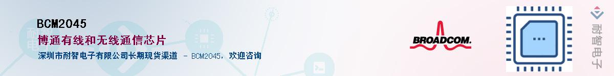 BCM2045������-�������