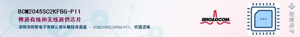 BCM2045SC2KFBG-P11������-�������