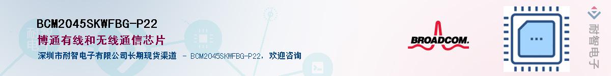 BCM2045SKWFBG-P22������-�������