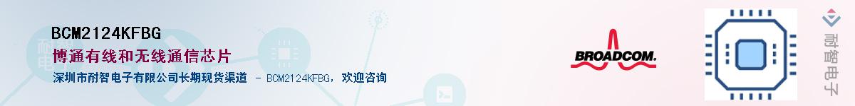BCM2124KFBG������-�������