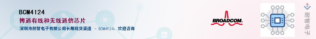 BCM4124������-�������