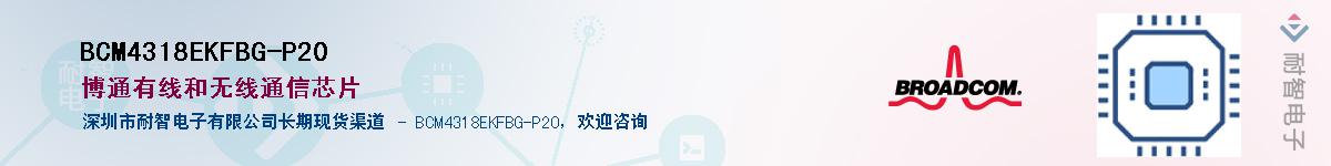 BCM4318EKFBG-P20������-�������