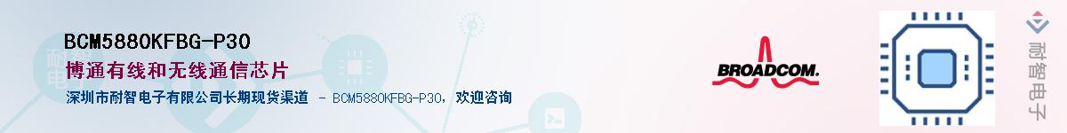 BCM5880KFBG-P30������-�������