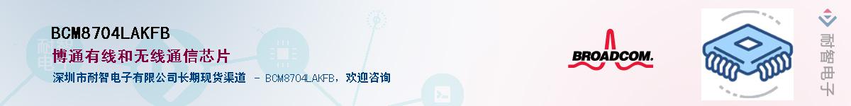 BCM8704LAKFB������-�������