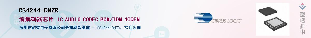 CS4244-DNZR������-�������