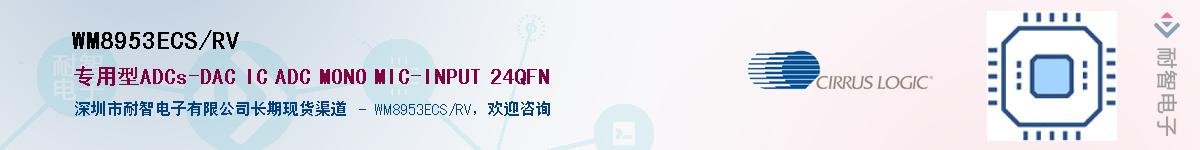 WM8953ECS/RV����(y��ng)��-�������