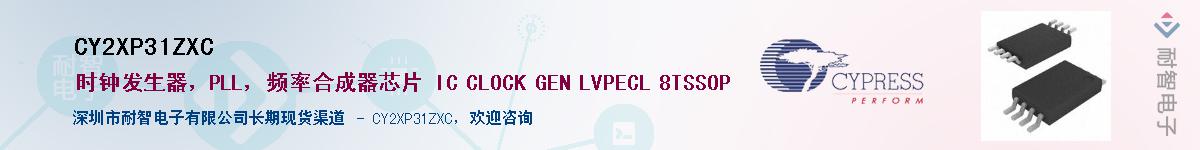 CY2XP31ZXC������-�������