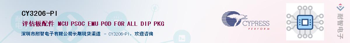CY3206-PI������-�������