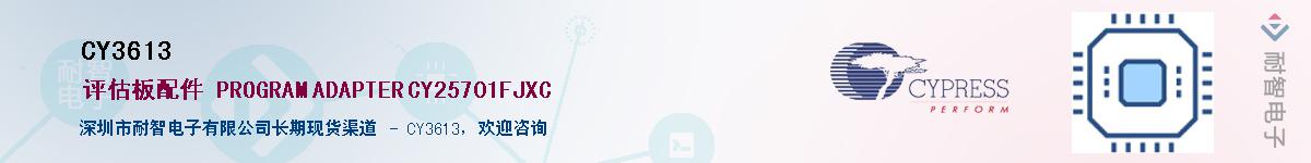 CY3613������-�������