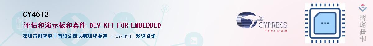 CY4613������-�������