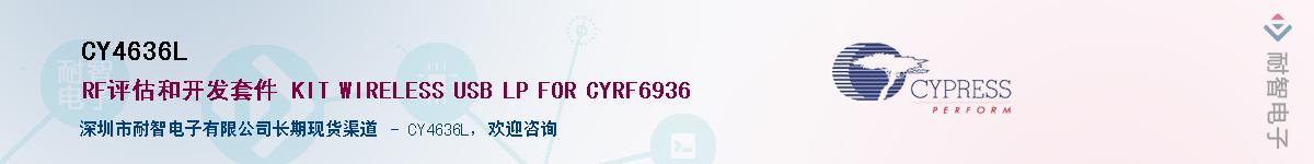 CY4636L������-�������