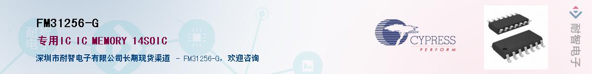 FM31256-G������-�������