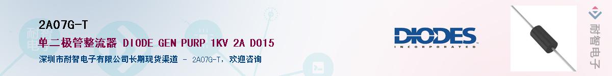 2A07G-T����(y��ng)��-�������