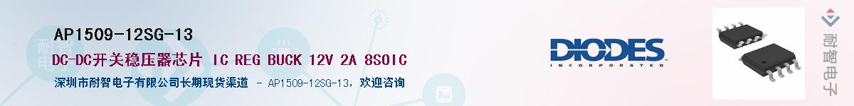 AP1509-12SG-13������-�������