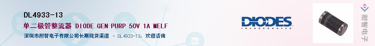 DL4933-13������-�������