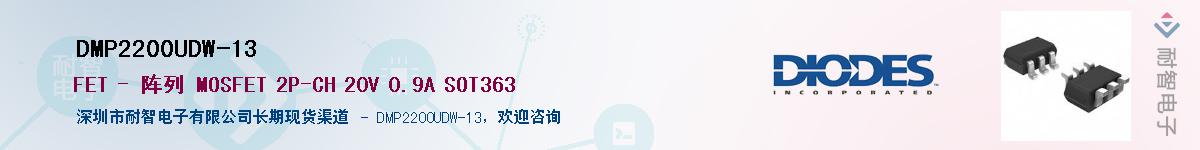 DMP2200UDW-13������-�������